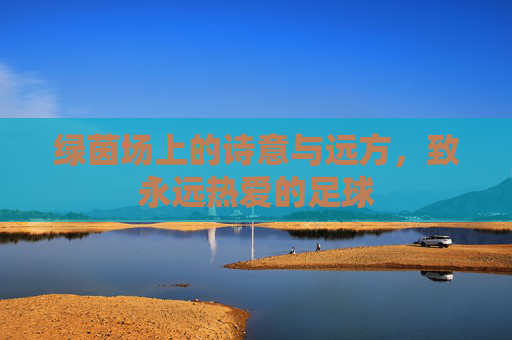 绿茵场上的诗意与远方,致永远热爱的足球