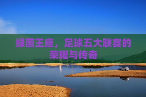 绿茵王座,足球五大联赛的荣耀与传奇