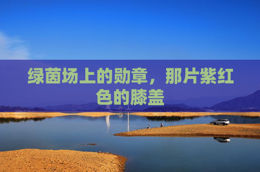 绿茵场上的勋章,那片紫红色的膝盖