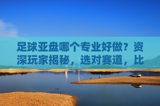足球亚盘哪个专业好做?资深玩家揭秘,选对赛道,比努力更重要