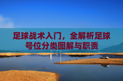 足球战术入门,全解析足球号位分类图解与职责