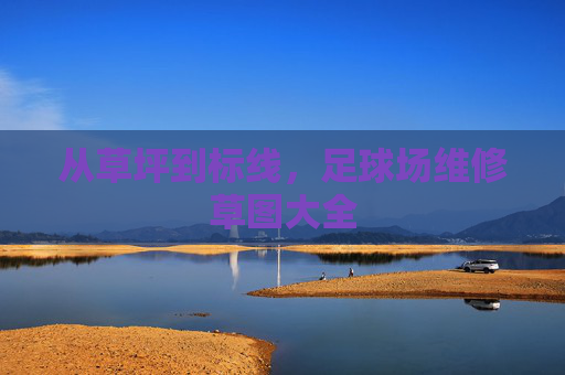 从草坪到标线，足球场维修草图大全