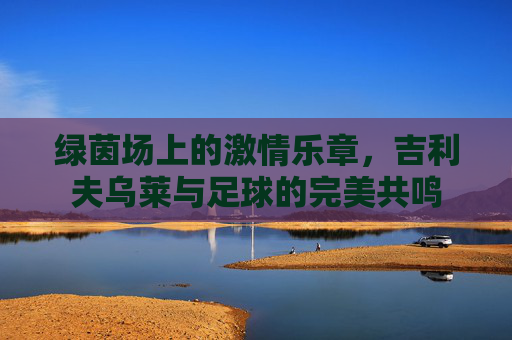 绿茵场上的激情乐章,吉利夫乌莱与足球的完美共鸣