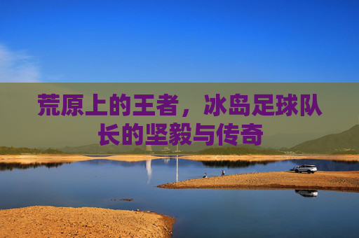 荒原上的王者,冰岛足球队长的坚毅与传奇
