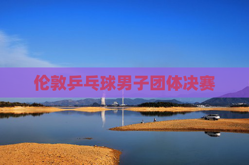 伦敦乒乓球男子团体决赛