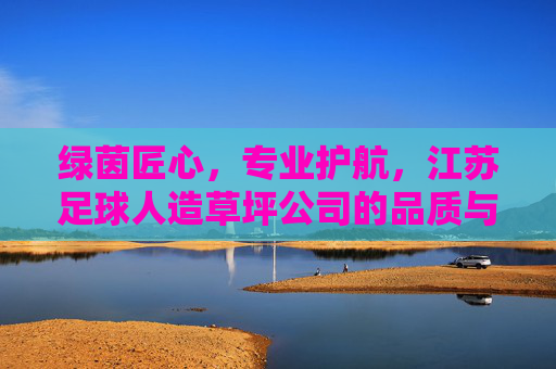 绿茵匠心,专业护航,江苏足球人造草坪公司的品质与创新之路