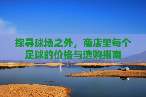 探寻球场之外,商店里每个足球的价格与选购指南