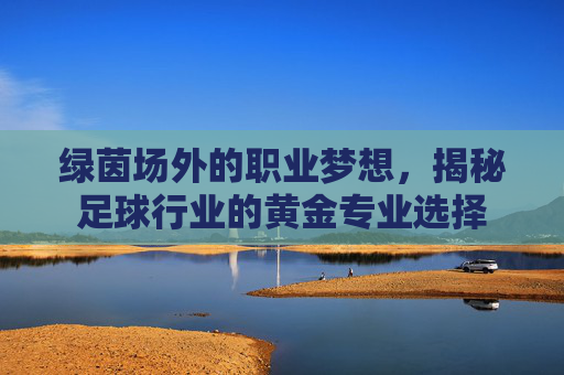 绿茵场外的职业梦想,揭秘足球行业的黄金专业选择
