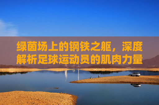 绿茵场上的钢铁之躯,深度解析足球运动员的肌肉力量