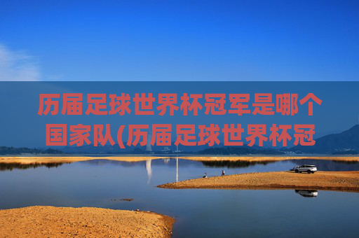 历届足球世界杯冠军是哪个国家队(历届足球世界杯冠军是哪个国家队的)