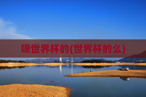 嗯世界杯的(世界杯的么)