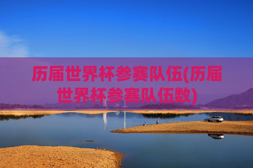 历届世界杯参赛队伍(历届世界杯参赛队伍数)