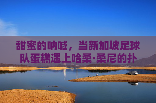 甜蜜的呐喊,当新加坡足球队蛋糕遇上哈桑·桑尼的扑救奇迹