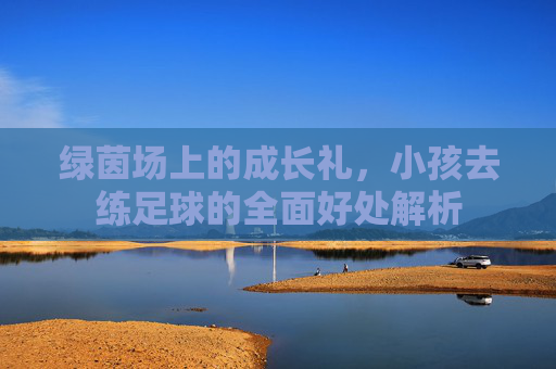 绿茵场上的成长礼,小孩去练足球的全面好处解析