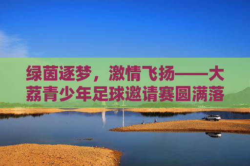 绿茵逐梦,激情飞扬——大荔青少年足球邀请赛圆满落幕