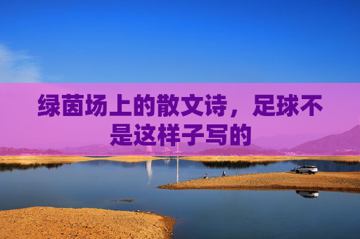 绿茵场上的散文诗,足球不是这样子写的