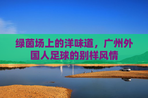 绿茵场上的洋味道,广州外国人足球的别样风情
