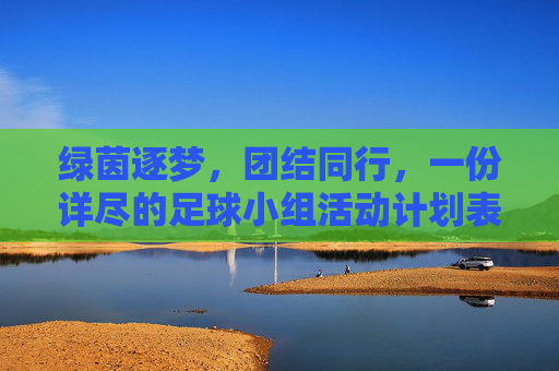 绿茵逐梦,团结同行,一份详尽的足球小组活动计划表与执行指南