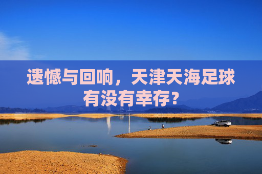 遗憾与回响，天津天海足球有没有幸存？