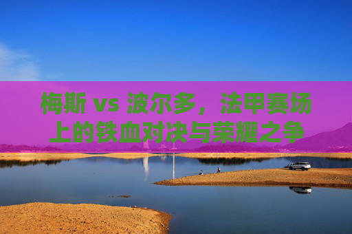 梅斯 vs 波尔多,法甲赛场上的铁血对决与荣耀之争