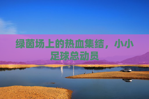 绿茵场上的热血集结,小小足球总动员