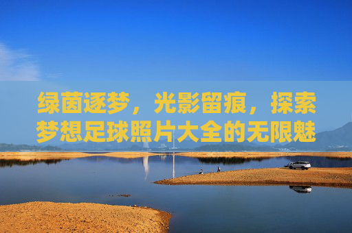 绿茵逐梦,光影留痕,探索梦想足球照片大全的无限魅力