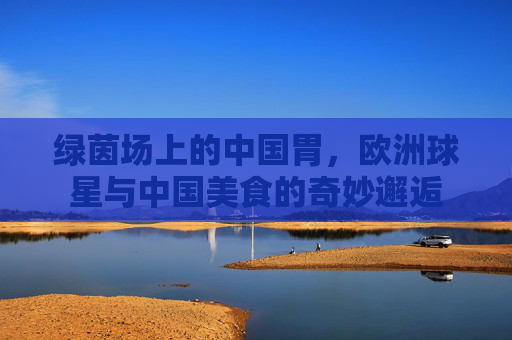 绿茵场上的中国胃,欧洲球星与中国美食的奇妙邂逅