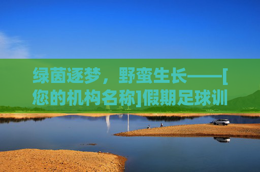 绿茵逐梦，野蛮生长——[您的机构名称]假期足球训练营招募令