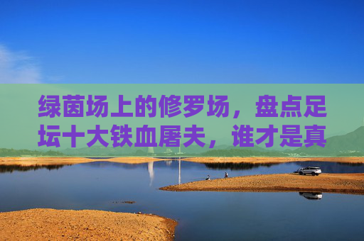 绿茵场上的修罗场,盘点足坛十大铁血屠夫,谁才是真正的硬汉之王?