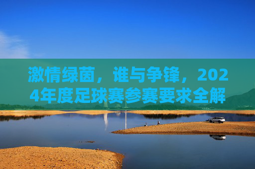 激情绿茵,谁与争锋,2024年度足球赛参赛要求全解析