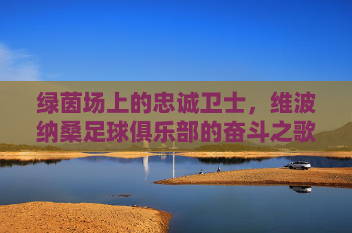 绿茵场上的忠诚卫士,维波纳桑足球俱乐部的奋斗之歌
