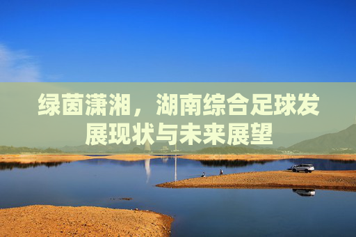 绿茵潇湘,湖南综合足球发展现状与未来展望