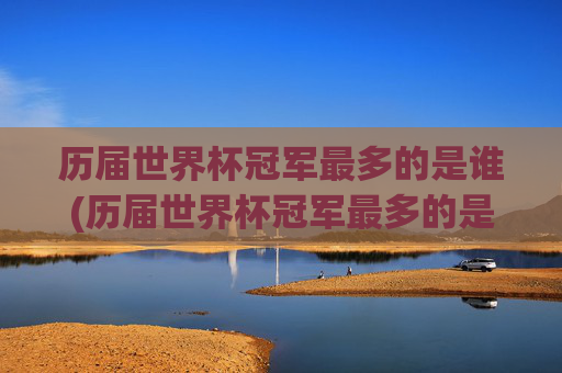 历届世界杯冠军最多的是谁(历届世界杯冠军最多的是谁啊)