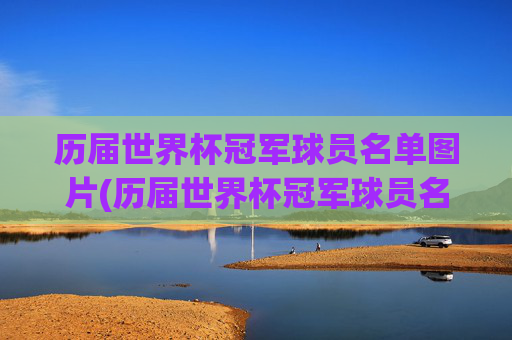 历届世界杯冠军球员名单图片(历届世界杯冠军球员名单图片大全)
