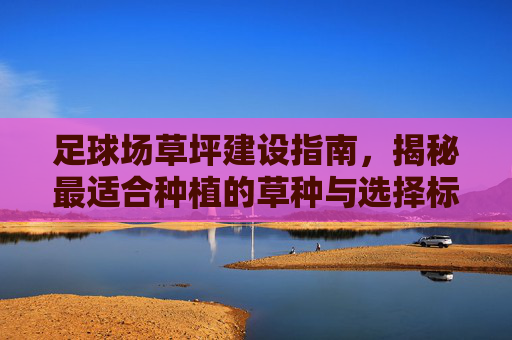 足球场草坪建设指南，揭秘最适合种植的草种与选择标准