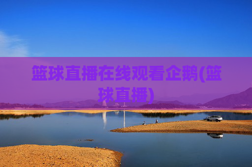篮球直播在线观看企鹅(篮球直播)