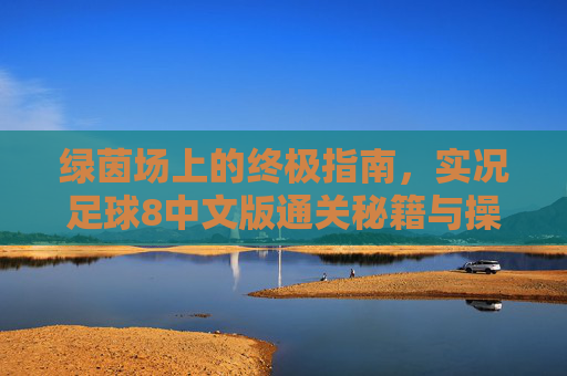 绿茵场上的终极指南,实况足球8中文版通关秘籍与操作技巧