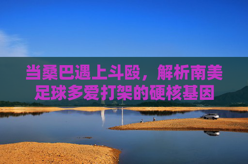 当桑巴遇上斗殴,解析南美足球多爱打架的硬核基因