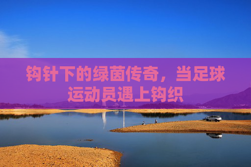 钩针下的绿茵传奇，当足球运动员遇上钩织