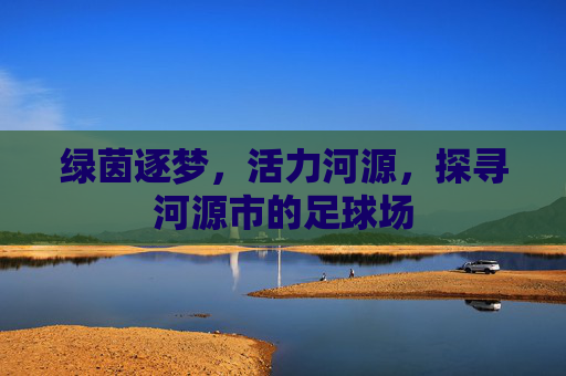 绿茵逐梦,活力河源,探寻河源市的足球场