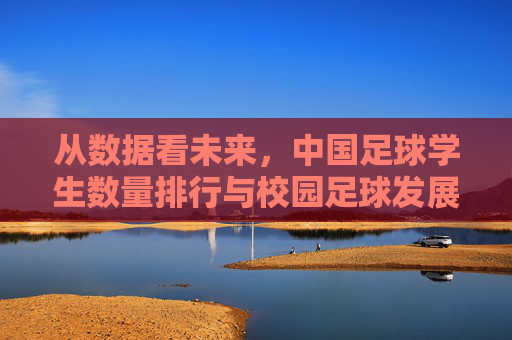 从数据看未来,中国足球学生数量排行与校园足球发展的深度解析
