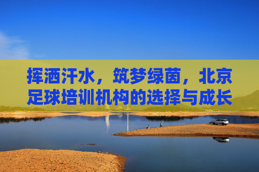 挥洒汗水,筑梦绿茵,北京足球培训机构的选择与成长指南