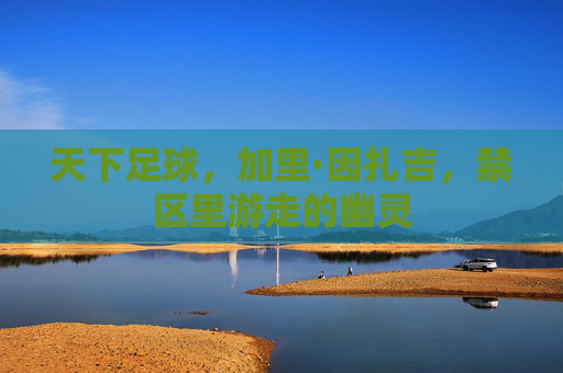 天下足球,加里·因扎吉,禁区里游走的幽灵