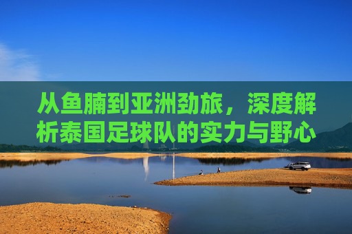 从鱼腩到亚洲劲旅，深度解析泰国足球队的实力与野心