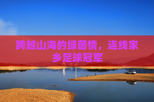 跨越山海的绿茵情,连线家乡足球冠军