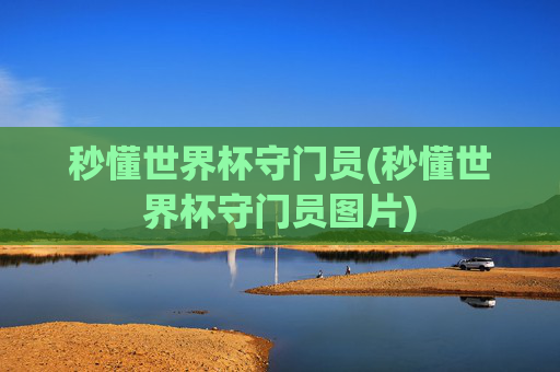 秒懂世界杯守门员(秒懂世界杯守门员图片)