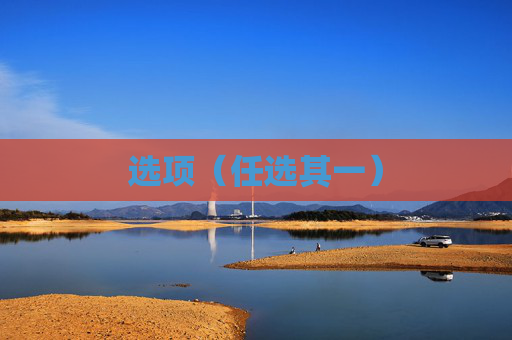 选项(任选其一)
