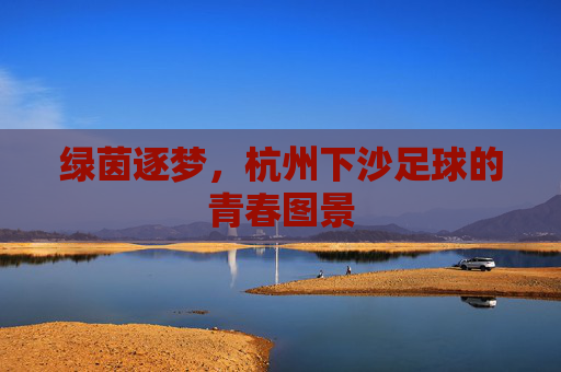 绿茵逐梦，杭州下沙足球的青春图景