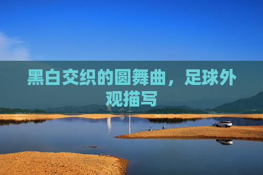 黑白交织的圆舞曲,足球外观描写