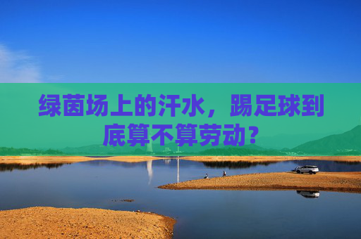 绿茵场上的汗水,踢足球到底算不算劳动?